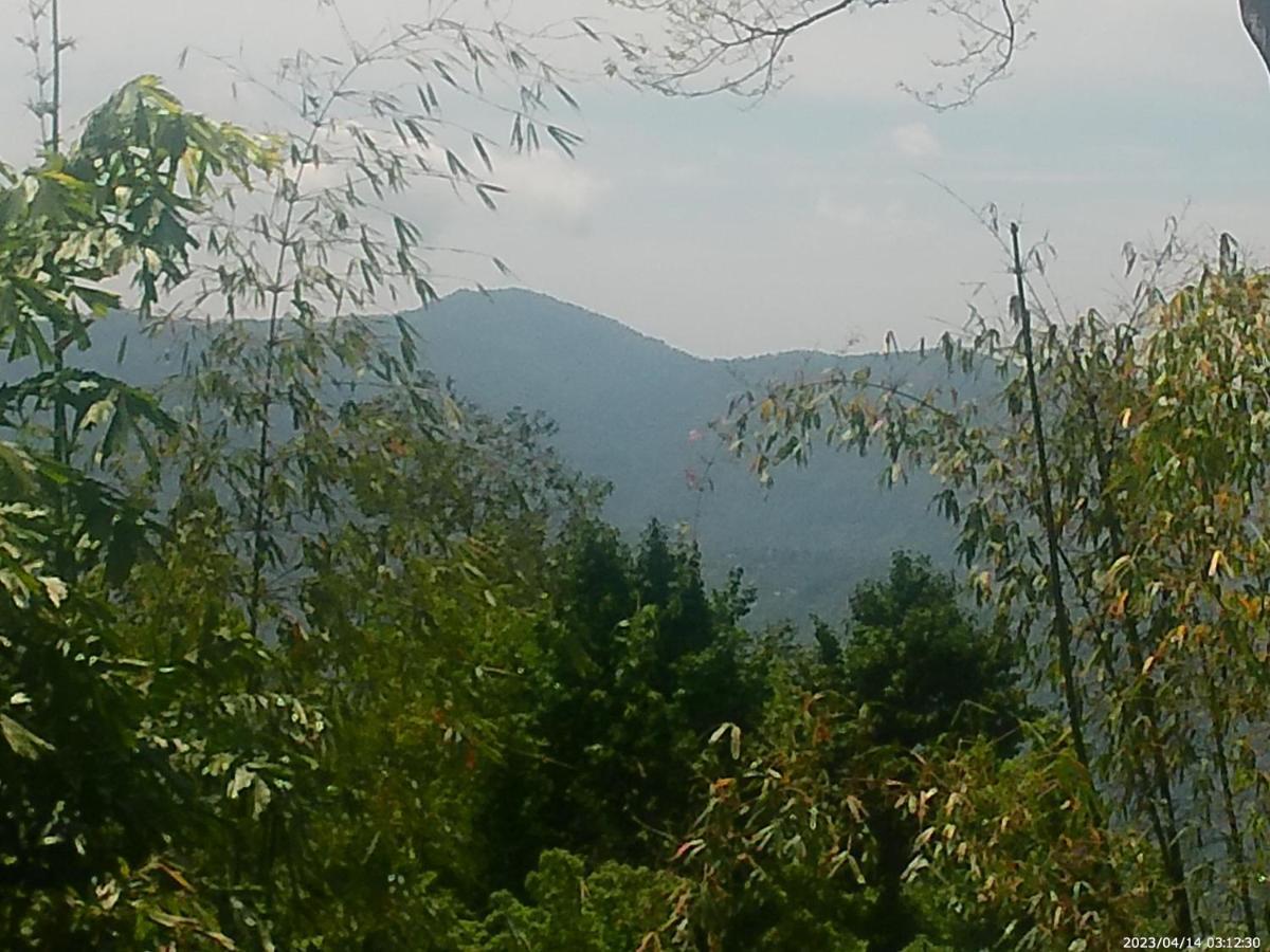 Mountain View Homestay 噶伦堡 外观 照片