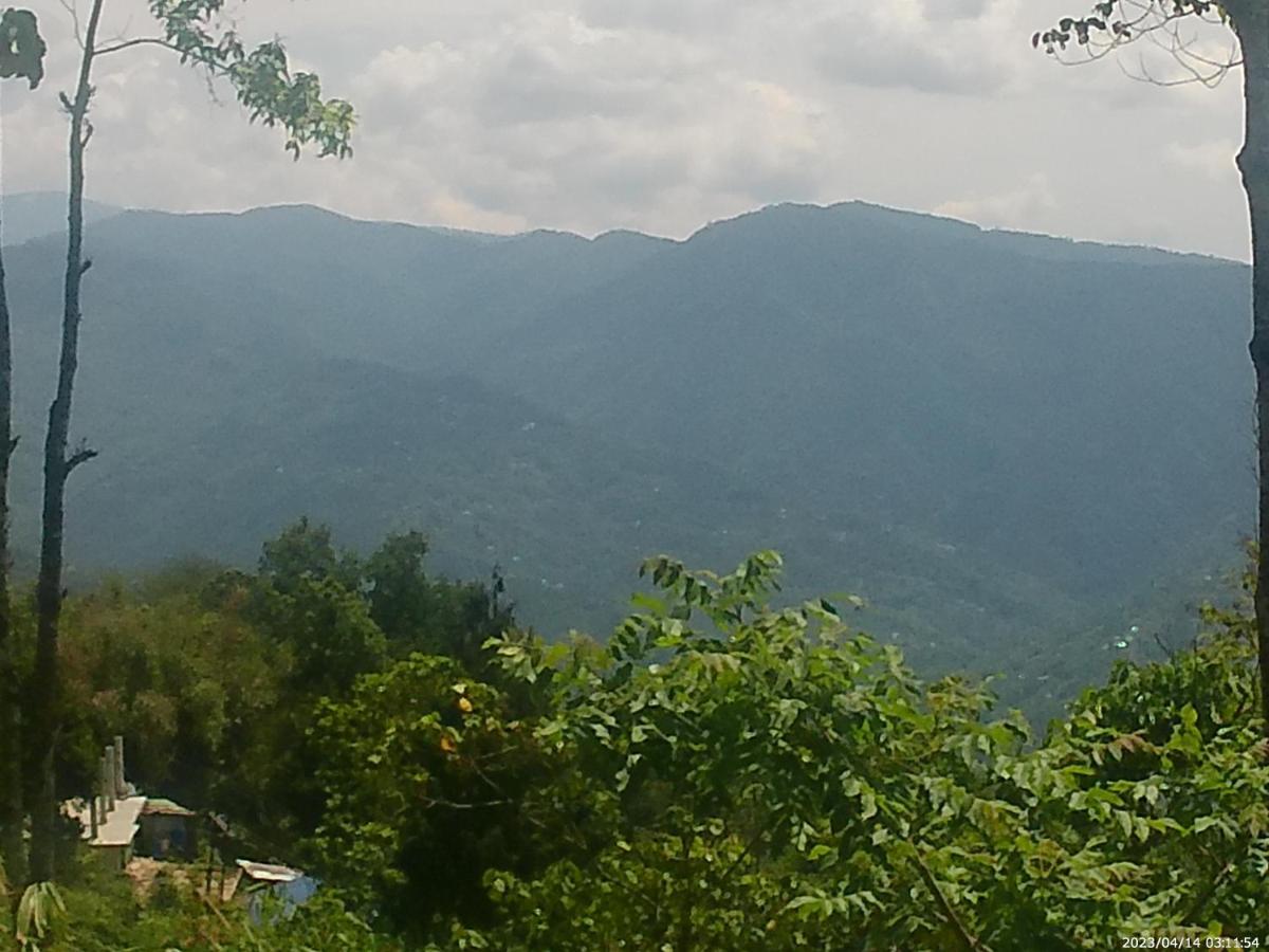 Mountain View Homestay 噶伦堡 外观 照片
