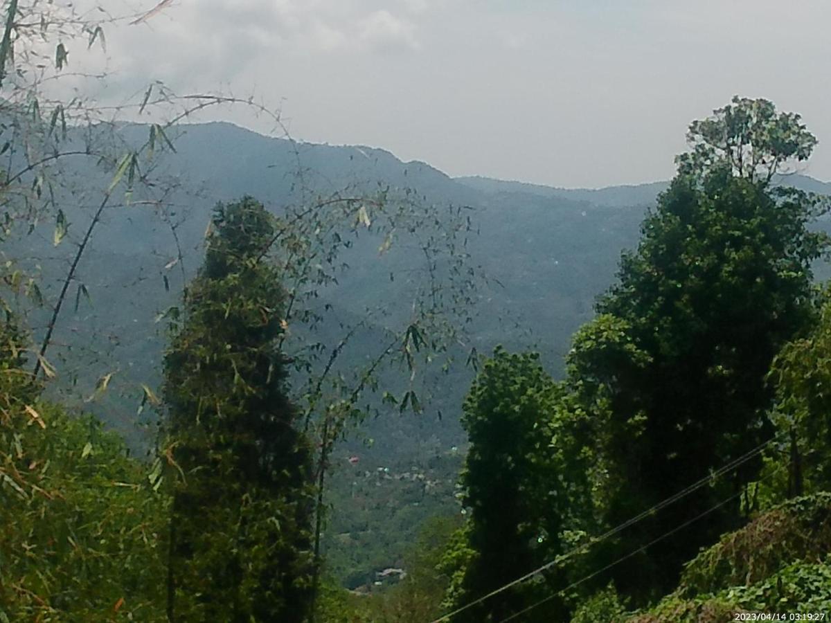 Mountain View Homestay 噶伦堡 外观 照片