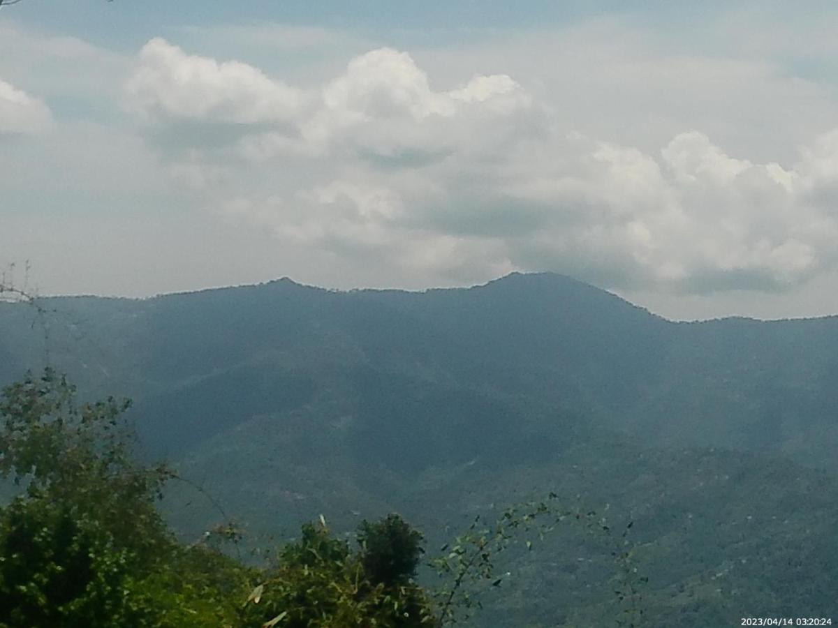 Mountain View Homestay 噶伦堡 外观 照片