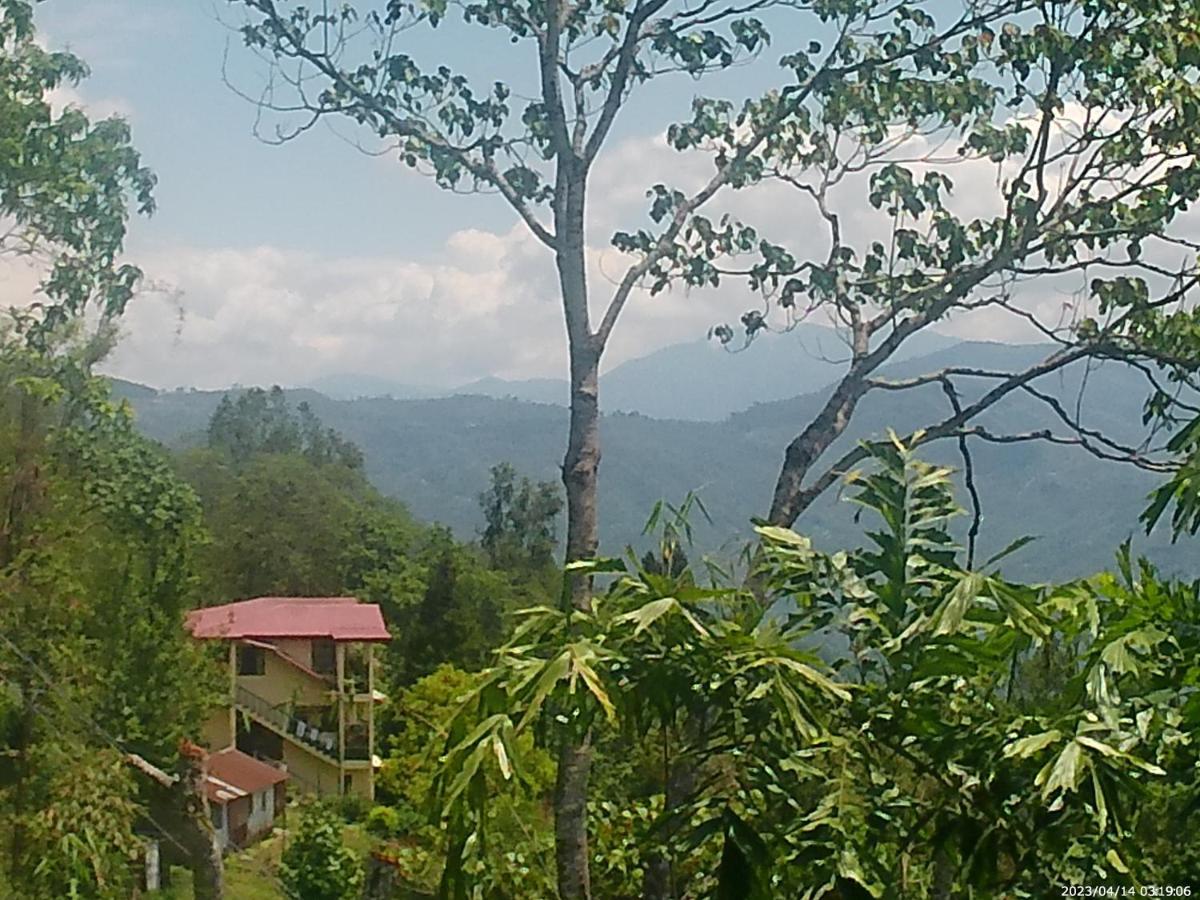 Mountain View Homestay 噶伦堡 外观 照片